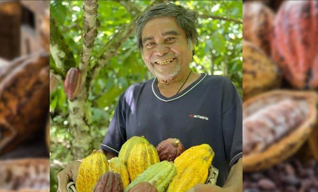 Les différentes fèves de cacao pour du chocolat haut de gamme.